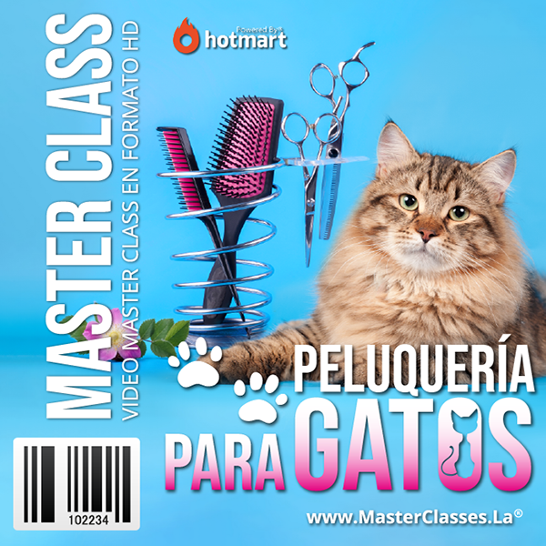 Read more about the article PELUQUERÍA PARA GATOS