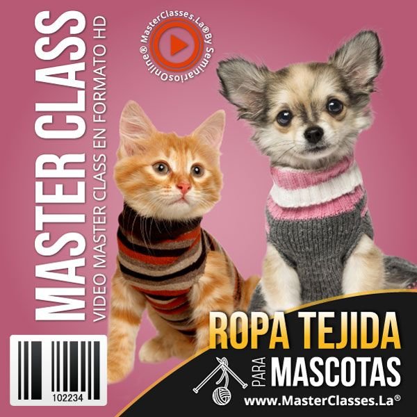 Read more about the article ROPA TEJIDA PARA MASCOTAS