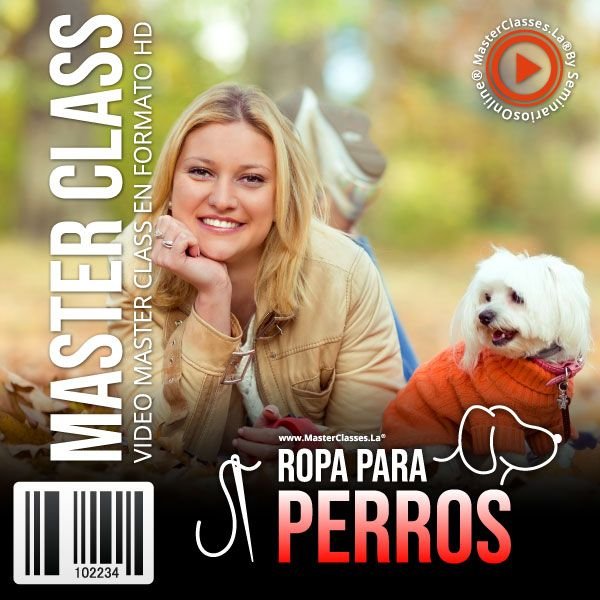You are currently viewing ROPA PARA PERROS