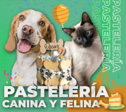 Read more about the article PASTELERIA CANINA Y FELINA